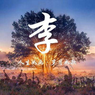 战甲online