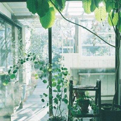 好湿热花径 舌尖探进截图