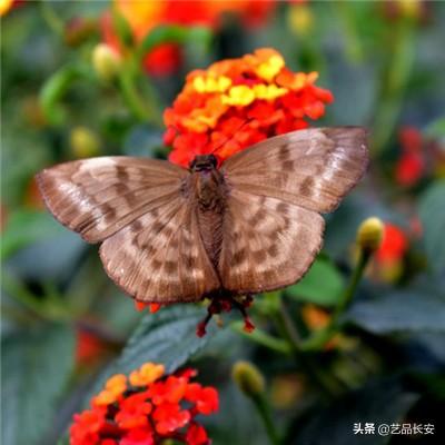 美的楼宇科技引领革新，“10+5”质保计划树...