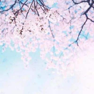 不可思议的狙击手