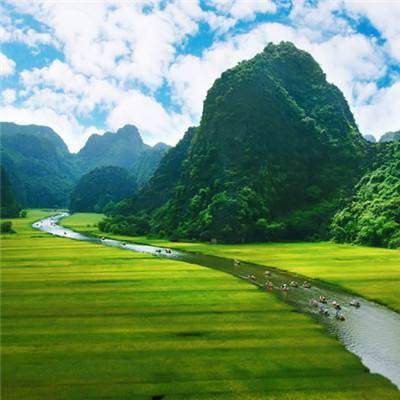 你没玩过的植物大战僵尸3