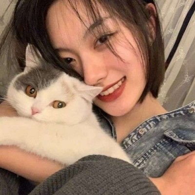成年大片免费高清在线观看