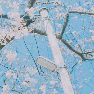 精灵王子历险记无敌版