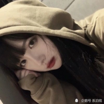 超口爱心理测验！猫的冒险1