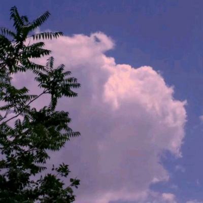 汽车隧道驾驶