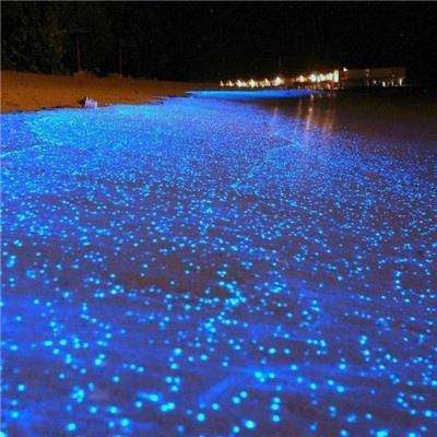 中国农业发展银行原一级总监卢纯才接受纪律审查和监察调查