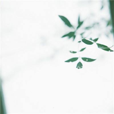 小宠的宝库