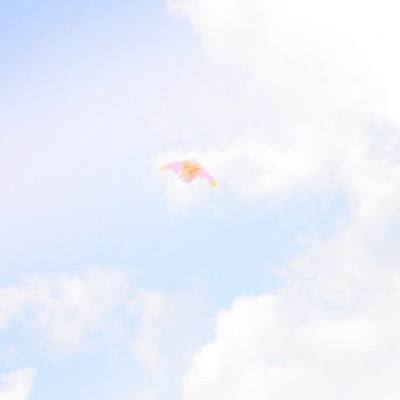 方块收集器