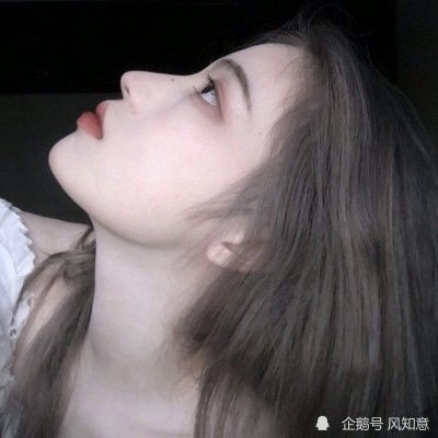 双翼飞翔机