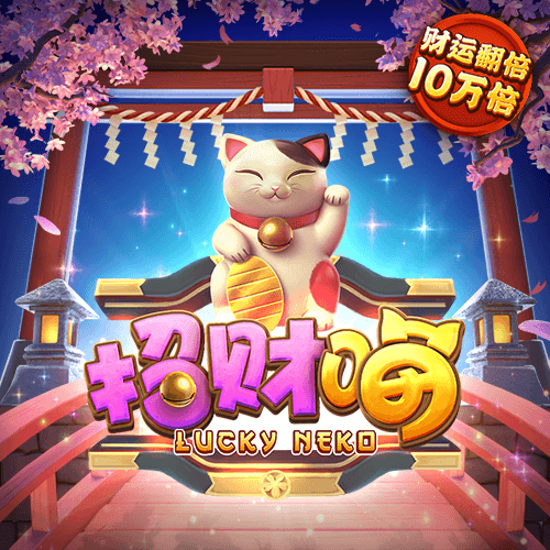 明星车手