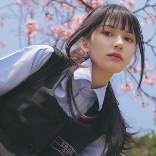 幻想全明星