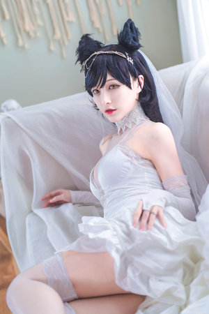 67194老司机入口