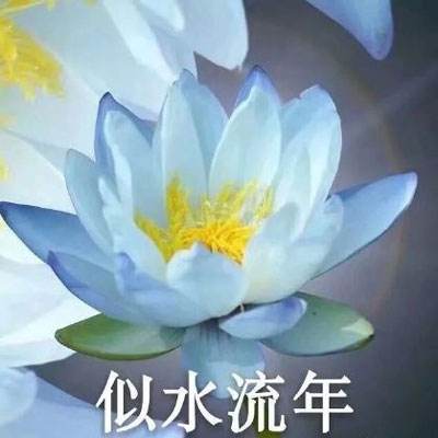 9999亚洲色码www