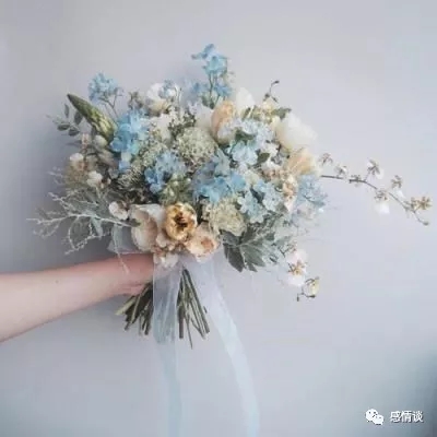 动物界跳水大赛
