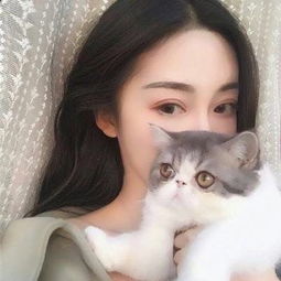 五彩画板填颜色