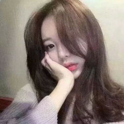 丁丁驯兽师之海豚投篮
