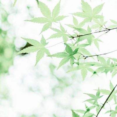哈雷特技摩托表演