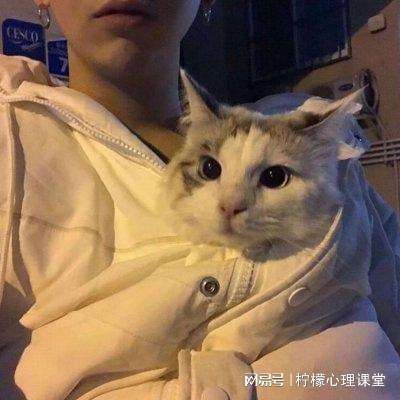马路终结者