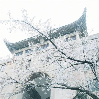 死神大乱斗