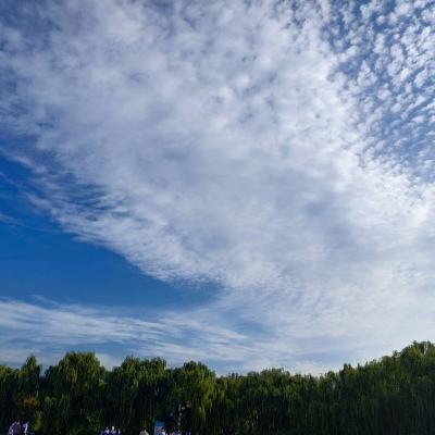 急速校车停靠