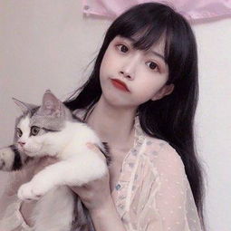 一点三国