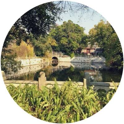 见习情圣