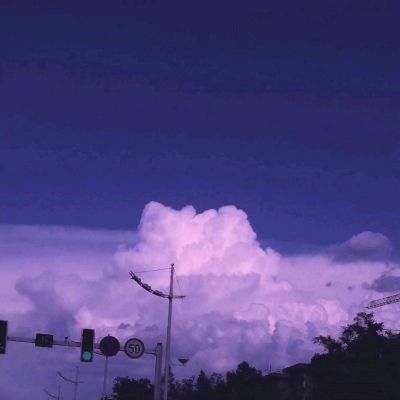 蜜芽二区忘忧草欢迎
