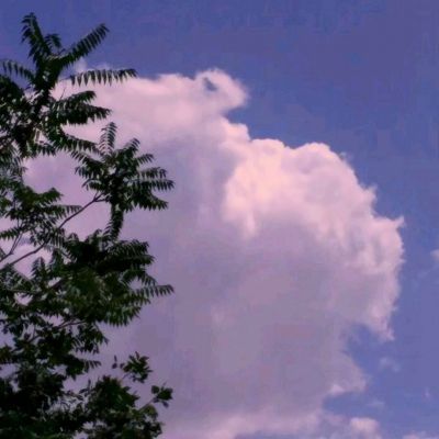 双胞胎海边游