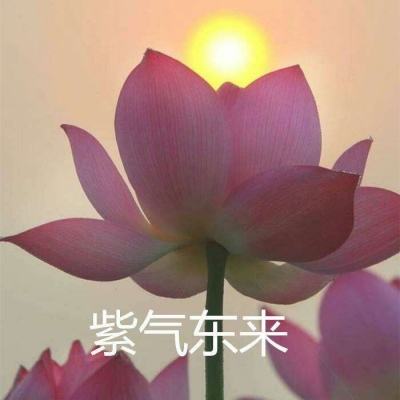 用经济学解释相亲市场为何拒收35岁以上女性？