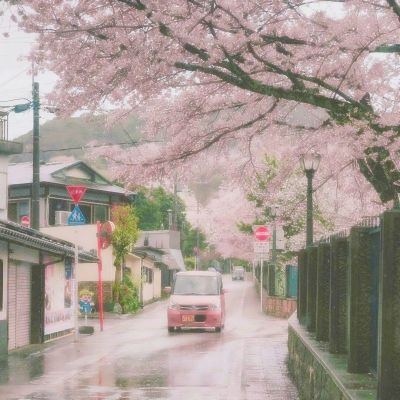 少年骇客填颜色