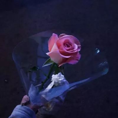 阿sue关东煮