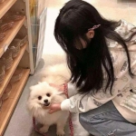 双胞胎的装扮